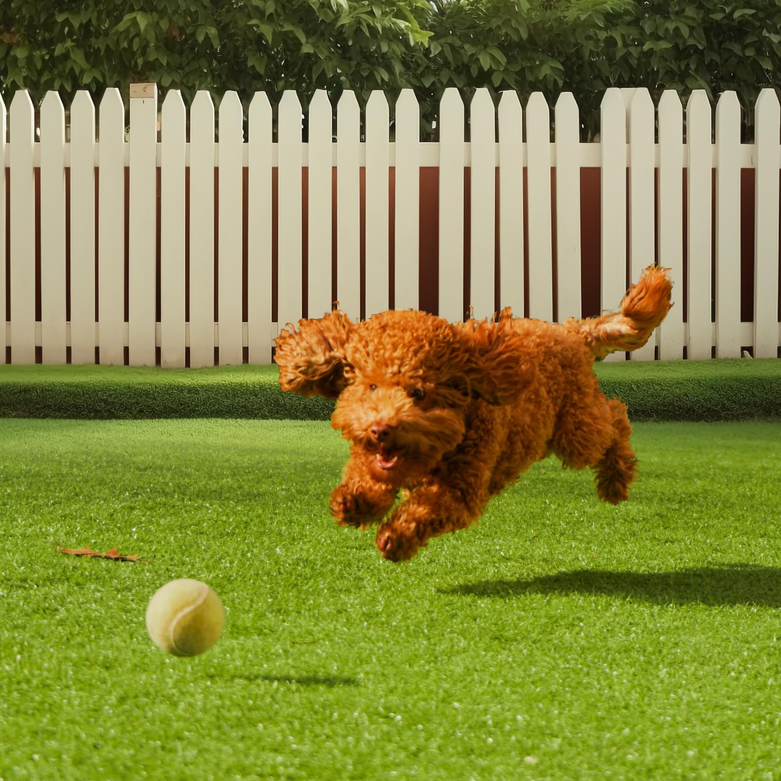 Easy-care turf simplifies outdoor spaces without watering or mowing chores.