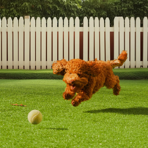Easy-care turf simplifies outdoor spaces without watering or mowing chores.