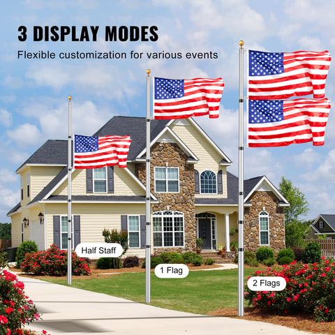 VEVOR 2-flag display mode creates bold curb appeal.