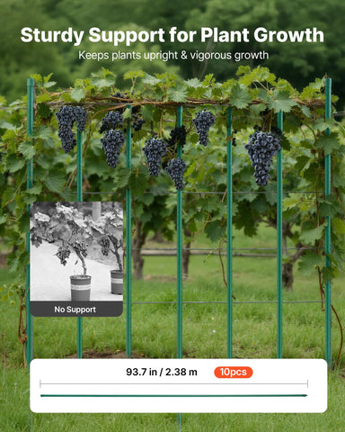 VEVOR PE-coated steel stake demonstrates weatherproof durability for outdoor gardens.