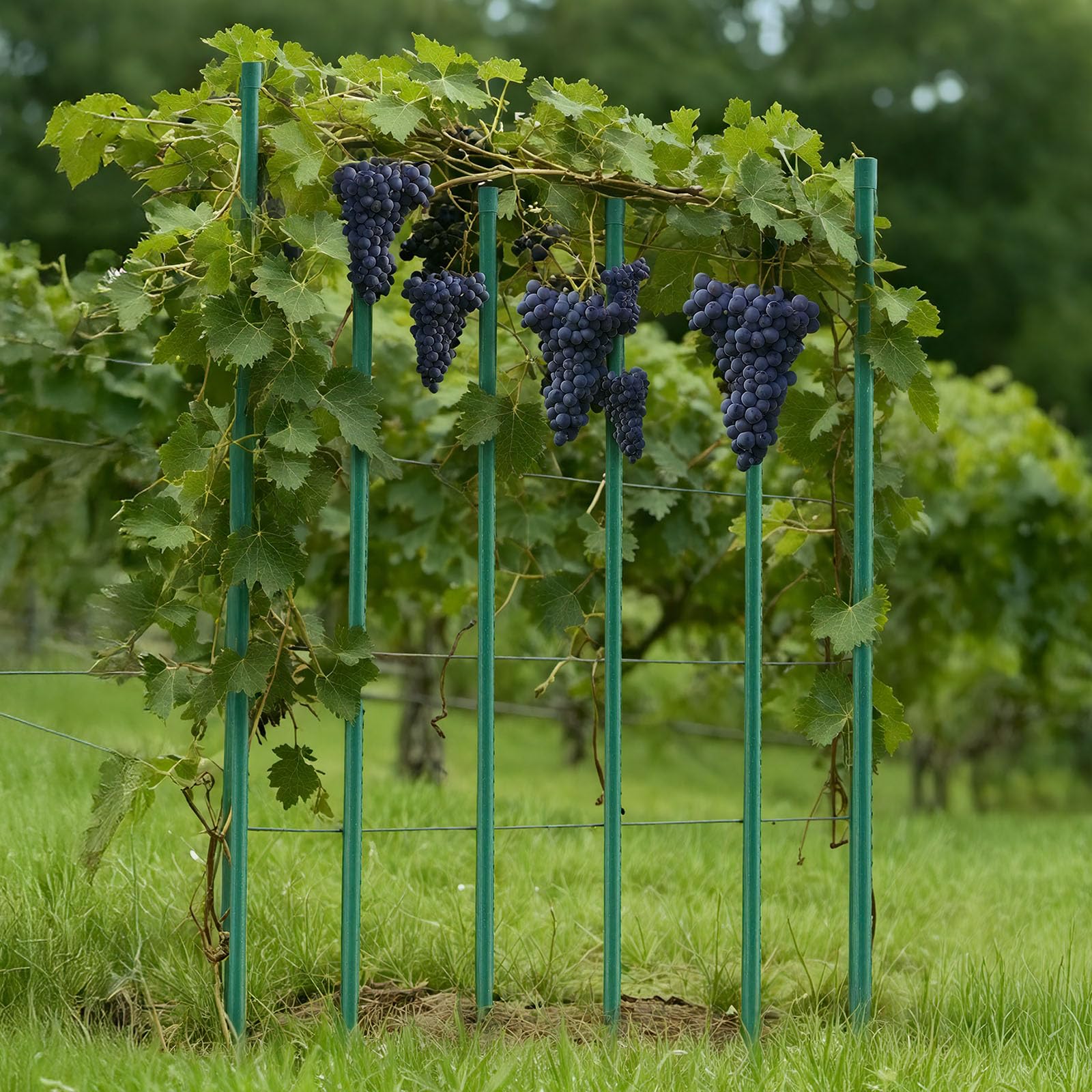 Reusable and durable stake set reduces replacement costs for gardens.