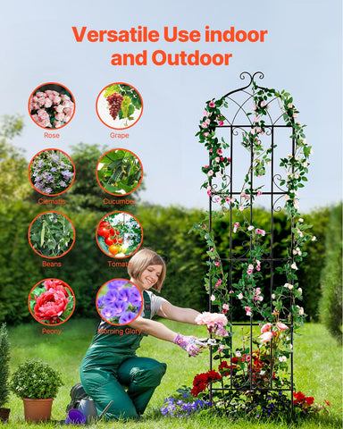VEVOR garden trellis climbing-clematis delivers reliable outdoor support for flowering vines.