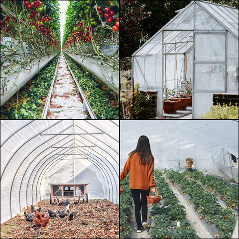 VEVOR DIY-friendly greenhouse film for simple projects