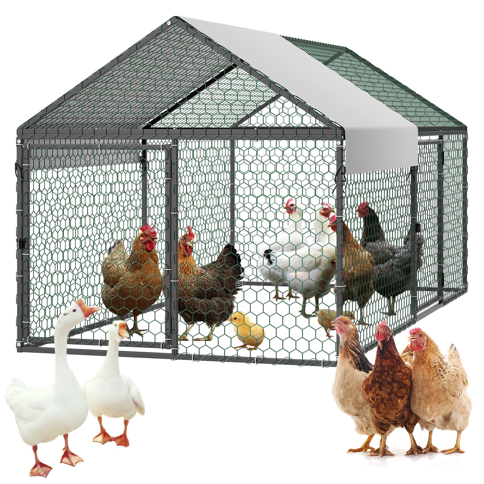 VEVOR metal chicken coop for 4–6 chickens, sturdy outdoor shelter.