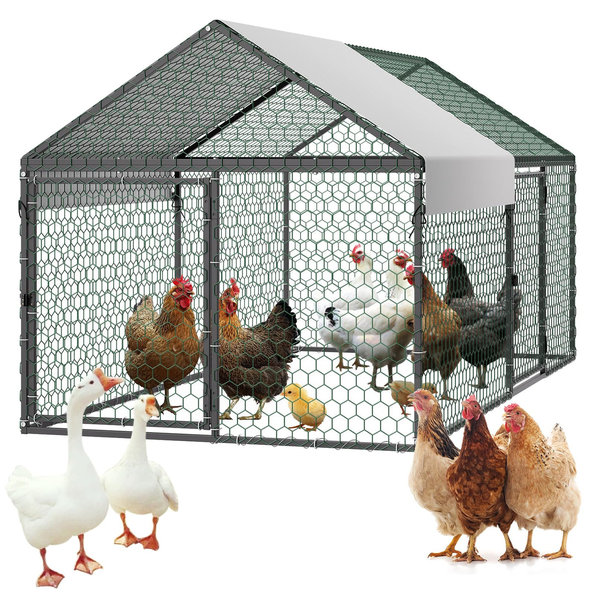 VEVOR metal chicken coop for 4–6 chickens, sturdy outdoor shelter.