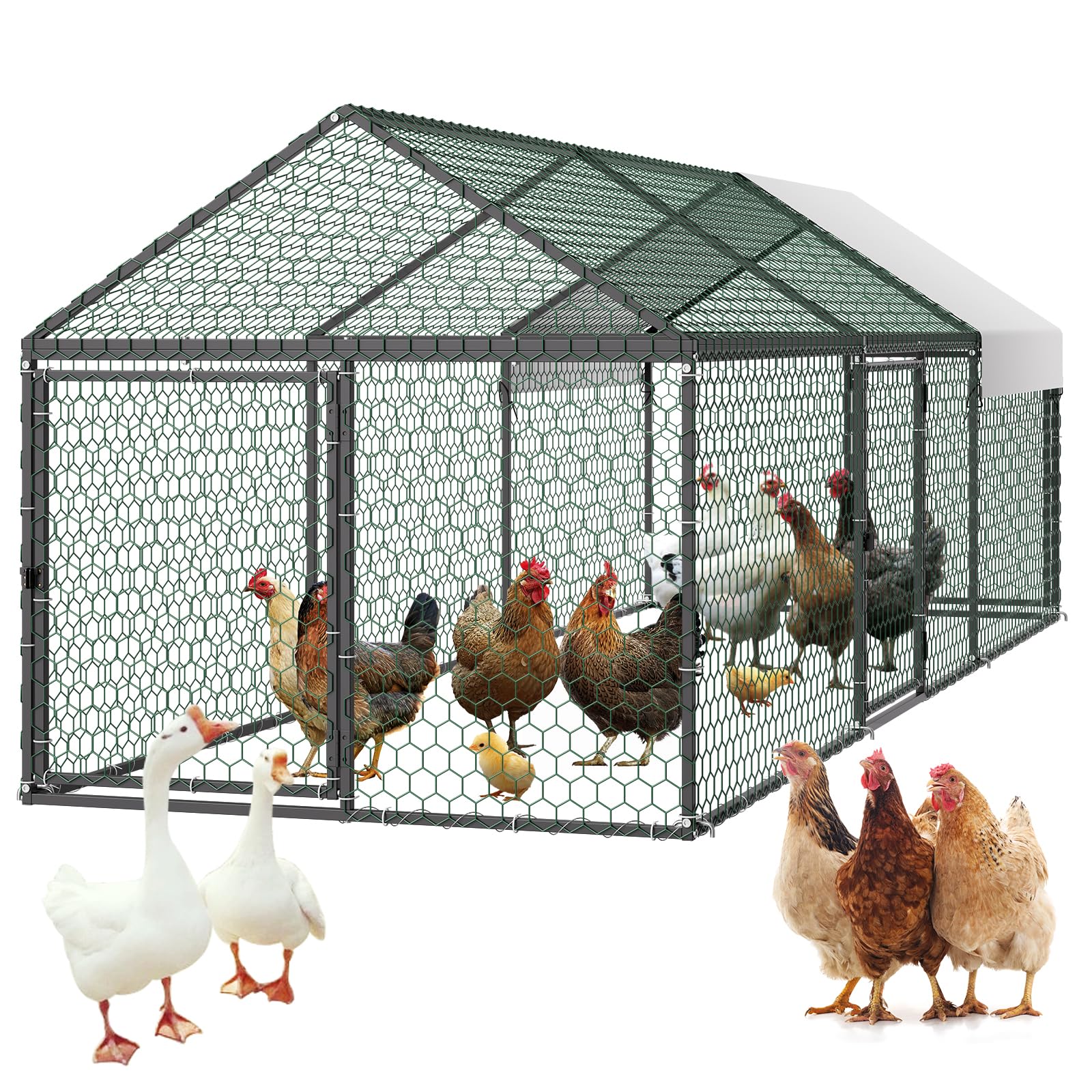 VEVOR metal chicken coop with run keeps 6–8 chickens spacious and comfortable.
