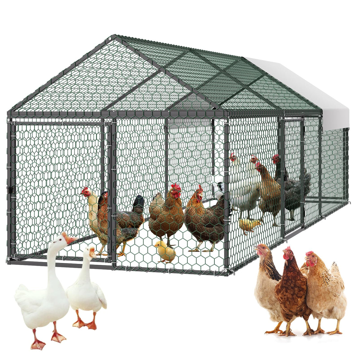 VEVOR metal chicken coop with run keeps 6–8 chickens spacious and comfortable.