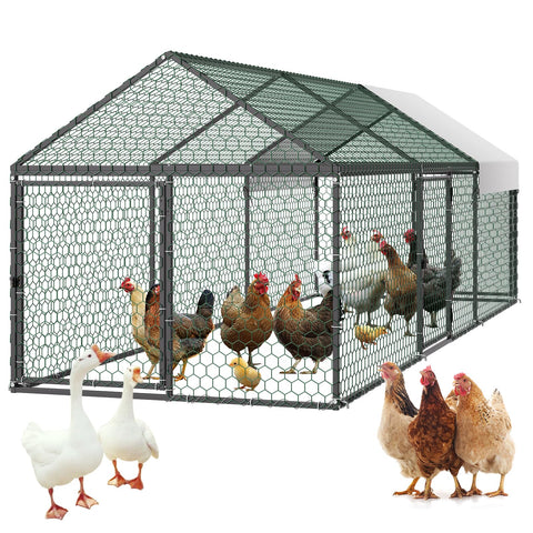 VEVOR metal chicken coop with run keeps 6–8 chickens spacious and comfortable.
