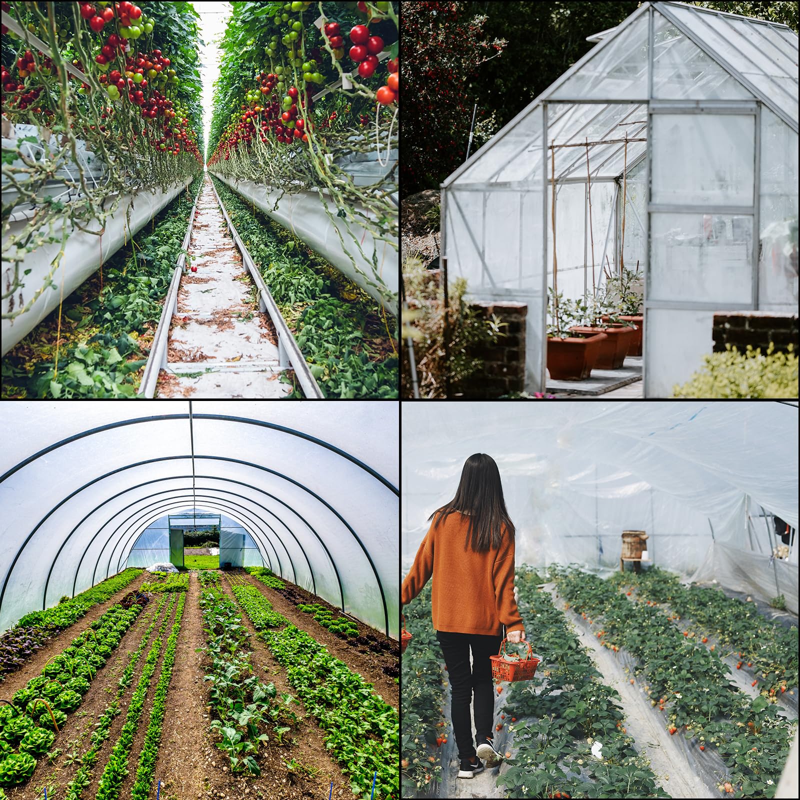 VEVOR multipurpose film suits industrial and residential greenhouses.