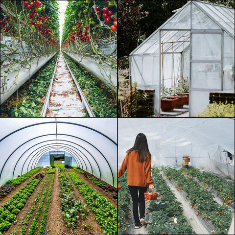 VEVOR multipurpose film suits industrial and residential greenhouses.