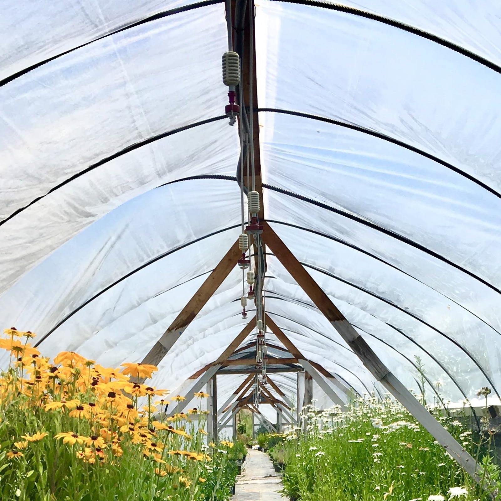 VEVOR packaging includes one greenhouse film roll ready for setup.