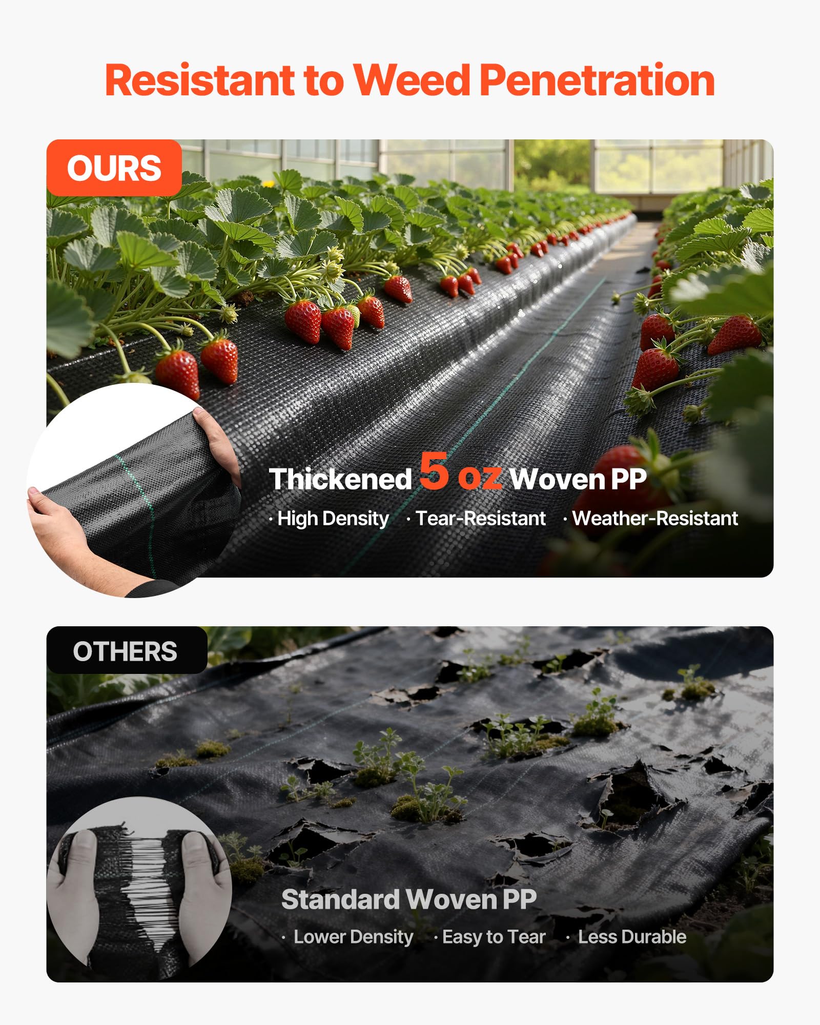 VEVOR plant-alignment guidelines help fit shapes precisely for beds