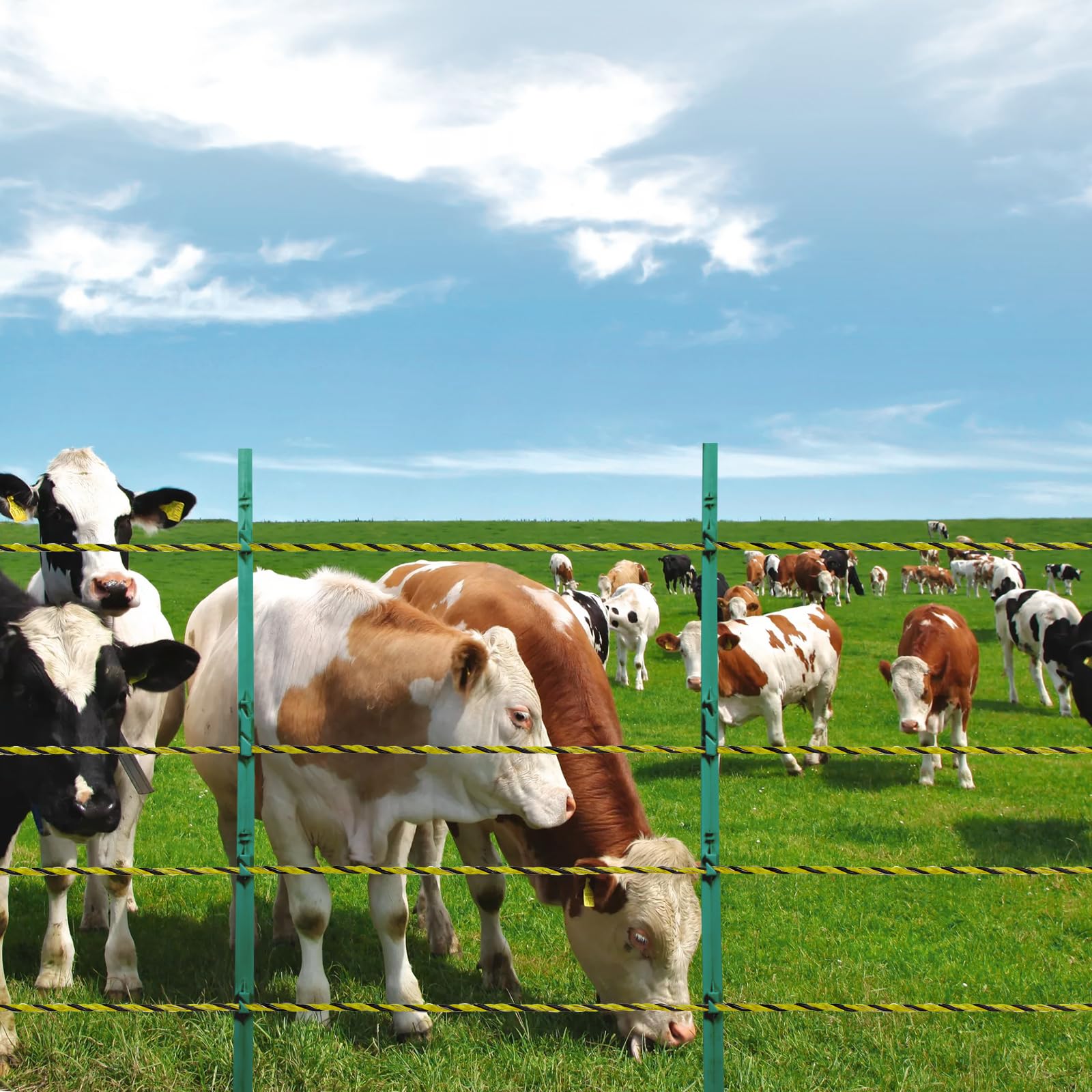 VEVOR portable fencing kit shown for temporary paddock setups