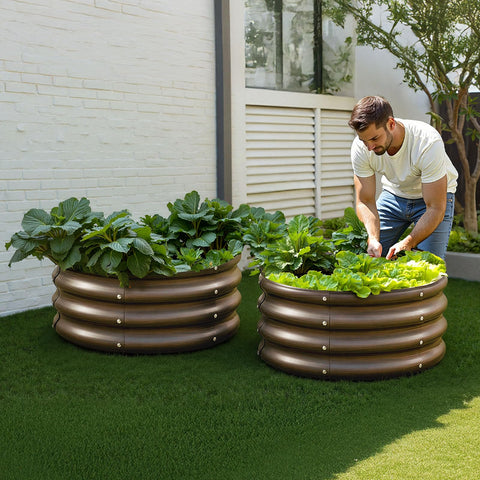 VEVOR bed set up for vegetables and herbs growth.