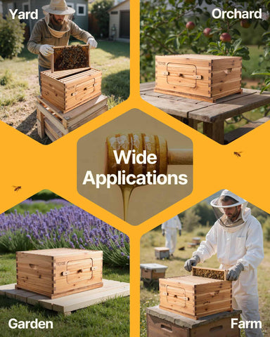 VEVOR spacious 10-frame deep hive ready for expansion