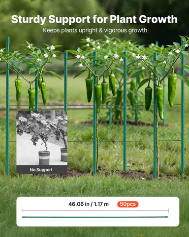 VEVOR tomato stake with pointed end for easy soil insertion.