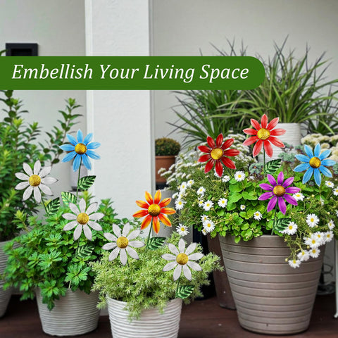 Vexercisehoop outdoor flowers create instant garden accents and curb appeal.