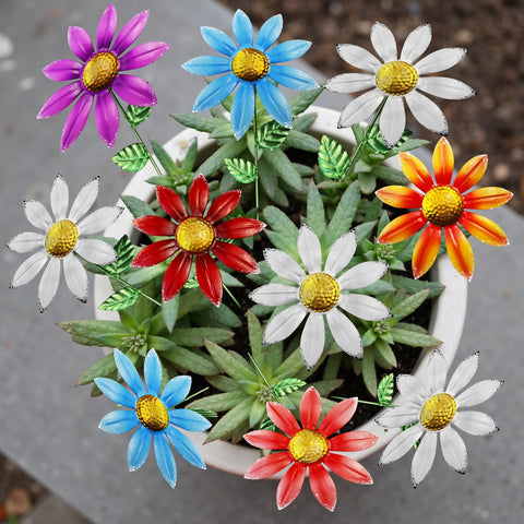 Vexercisehoop decorative garden stakes uplift outdoor spaces.