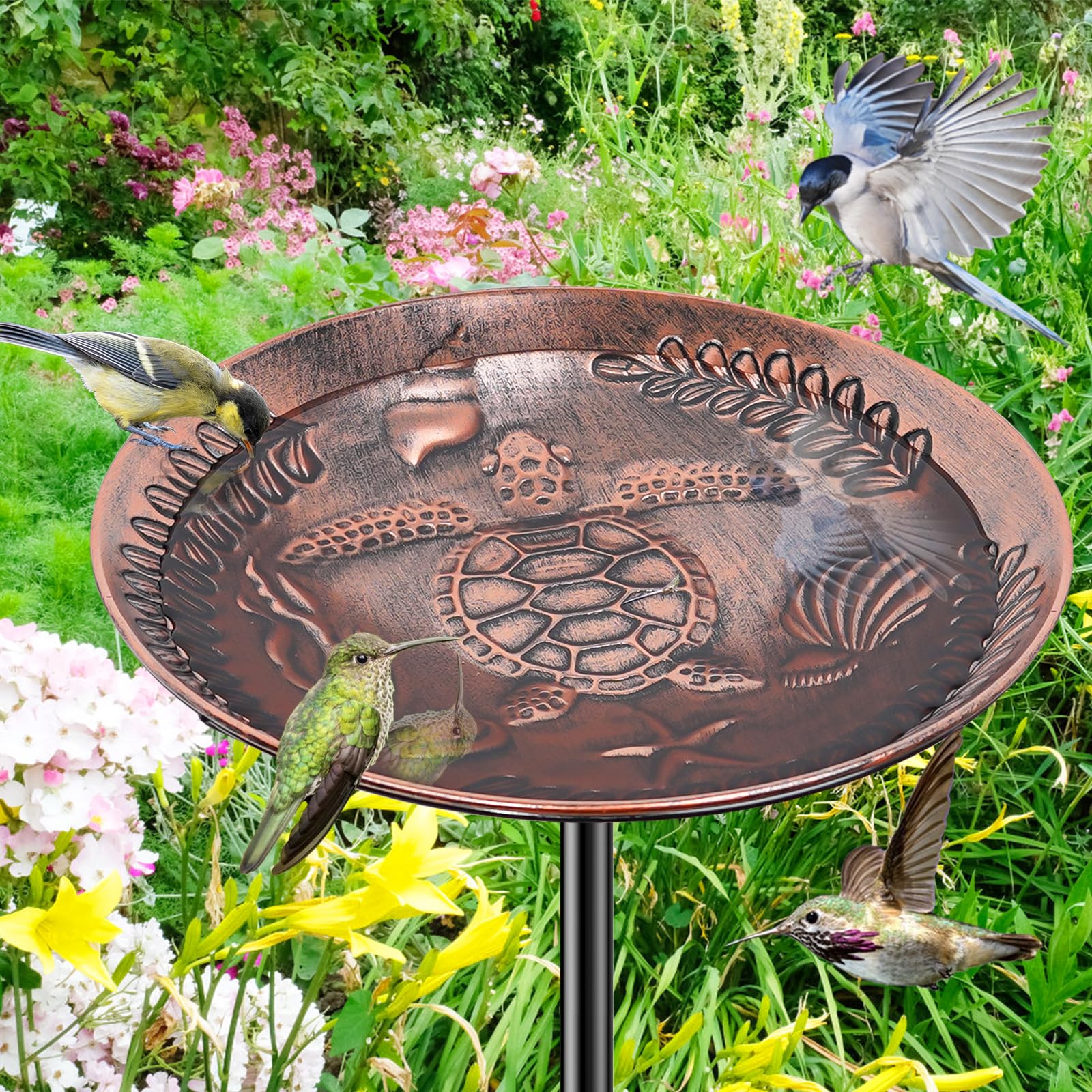 VeyFolzin.st bird-watching appeal invites feathered visitors to sip and bathe.