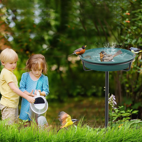 VeyFolzin.st garden decor that invites birds to sip and bathe