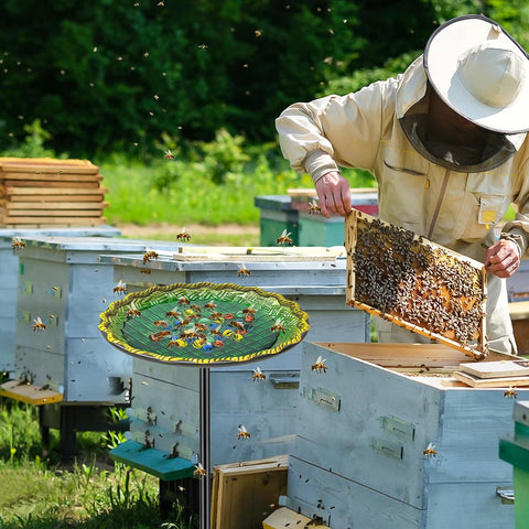 VeyFolzin.st Glass Marbles Pack provides safe footing for bees at the water surface.