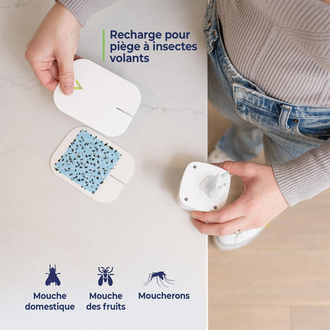 VEYOFLY gnat trap for bedrooms keeps evenings calm and pest-free