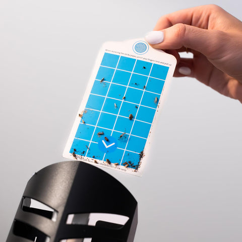 VEYOFLY smart refill pack ensures continuous, non-toxic pest management at home