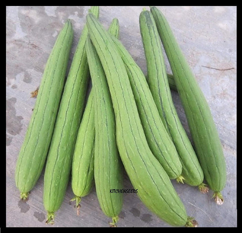Viablekitchenseeds luffa seeds for long smooth sponge gourds, ideal for warm-season harvests.