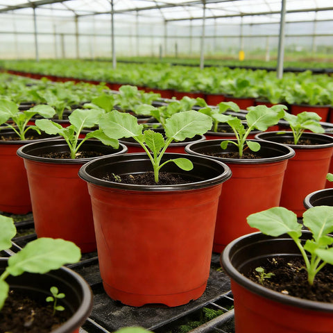 Viaoone pots suitable for indoor and outdoor gardens, balconies, and patios.