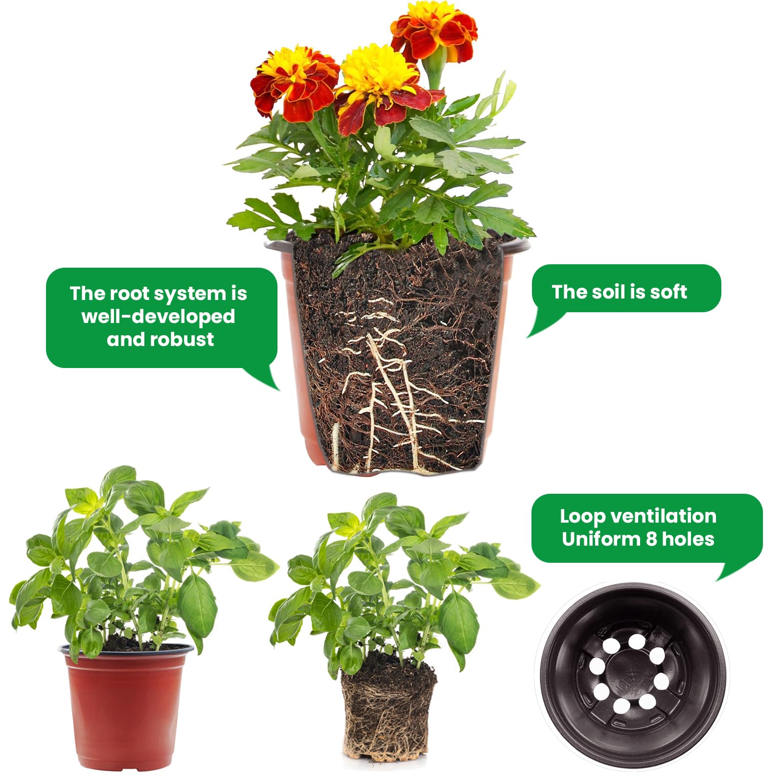 Viaoone nursery pots return to shape after soil-filled use.