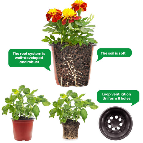 Viaoone nursery pots return to shape after soil-filled use.