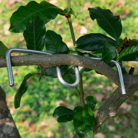 Vibriskape angle-adjuster tree tool enables improved airflow and light exposure.