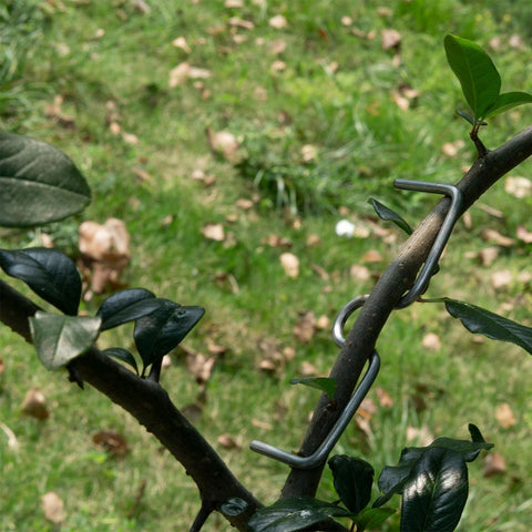 Vibriskape spreader aids moisture and nutrient distribution in young trees.