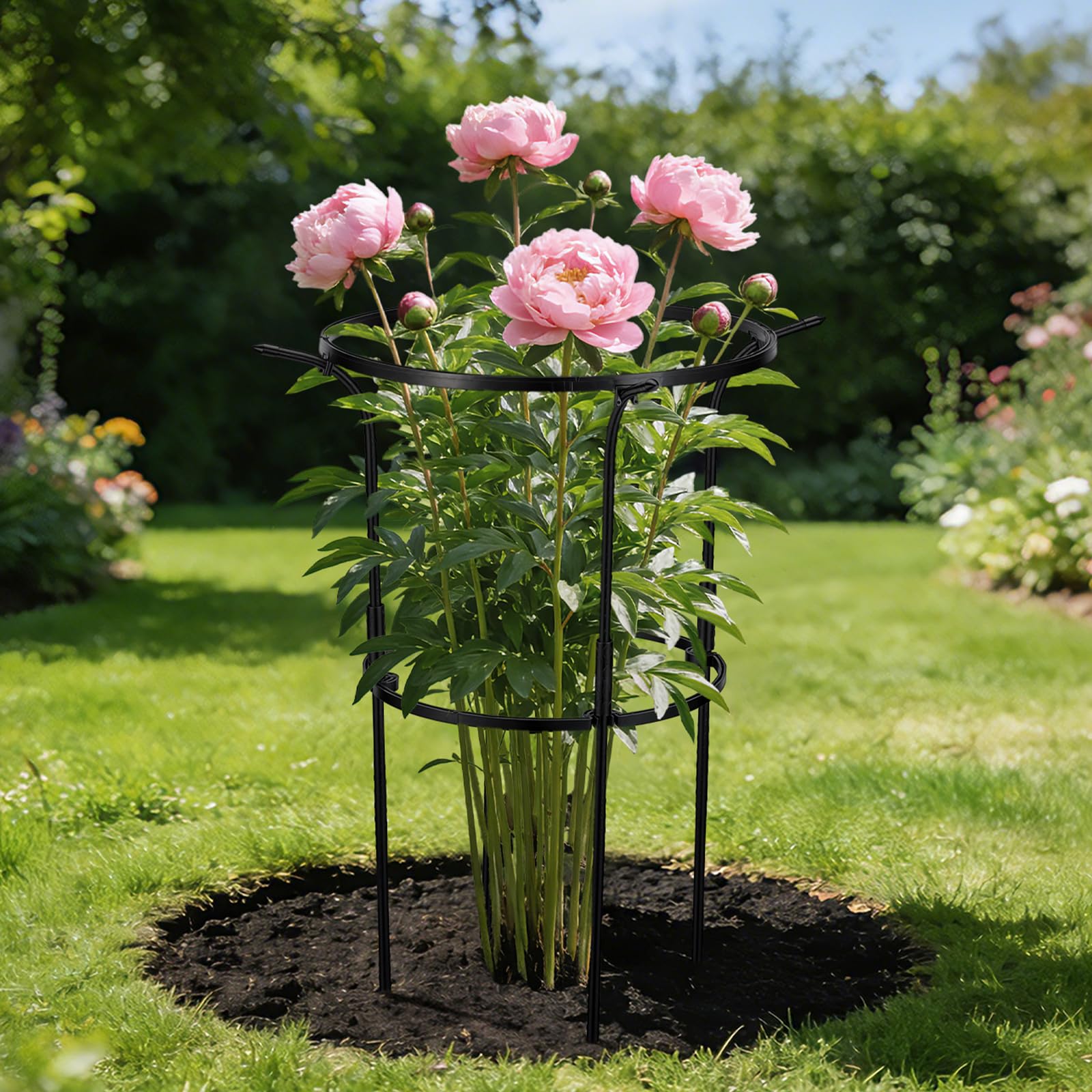 VICAMB 28-inch tall cage after assembly keeps tall blooms upright