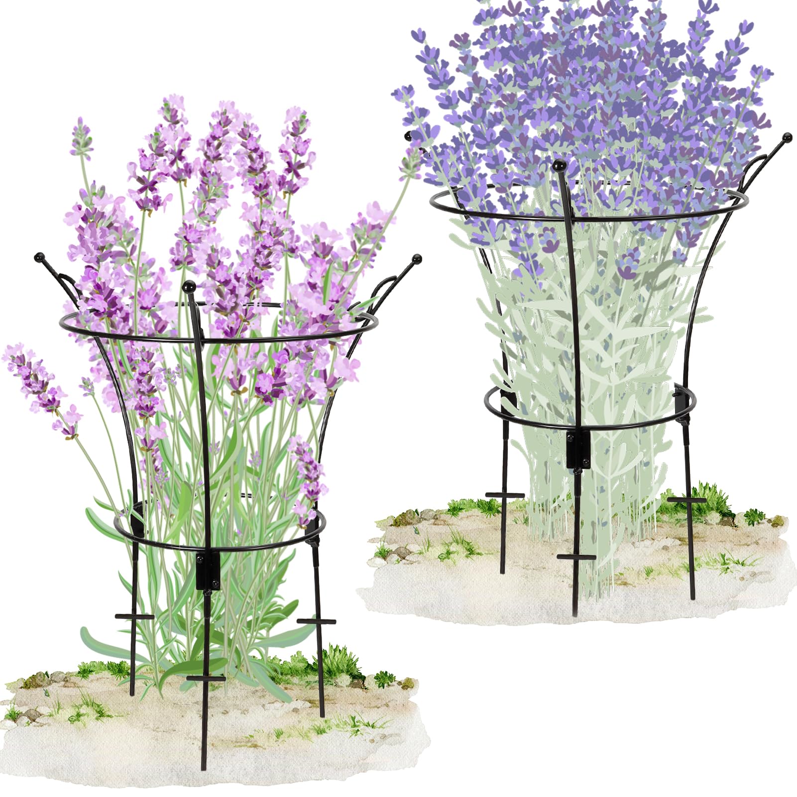 VICAMB 2-pack peony cages stand tall to support lush blooms.