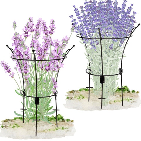 VICAMB 2-pack peony cages stand tall to support lush blooms.
