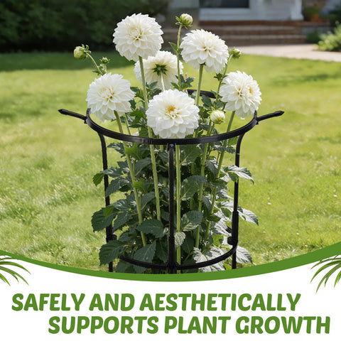 VICAMB 3-pack cages provides multi-plant garden support in the bed