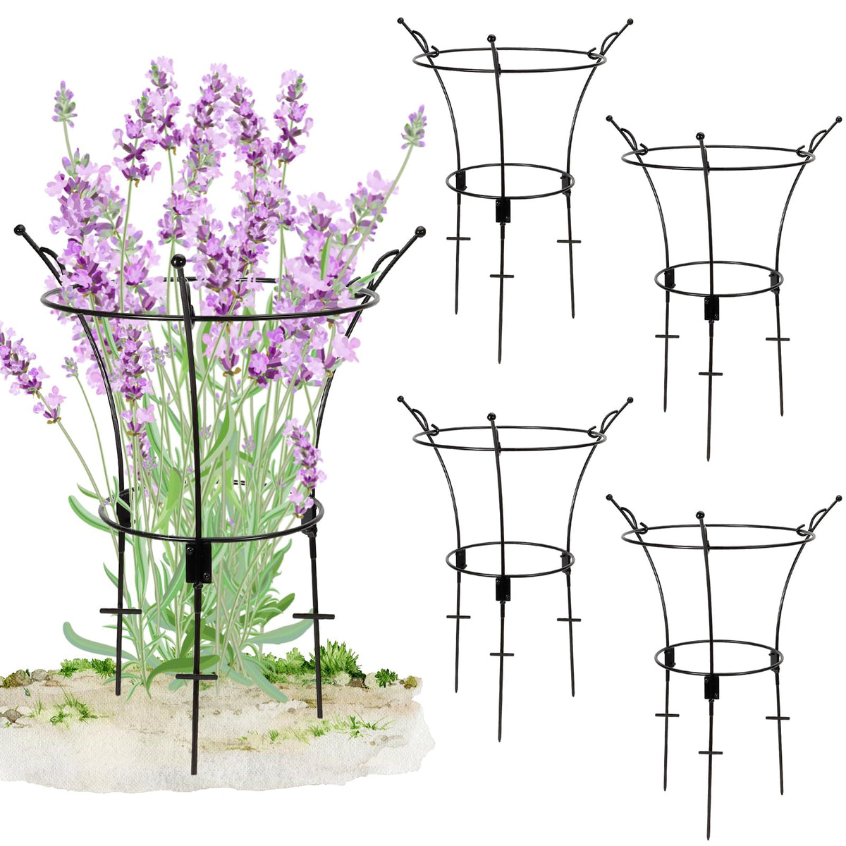 VICAMB 4 pack peony cage supports roses upright for a tidy garden