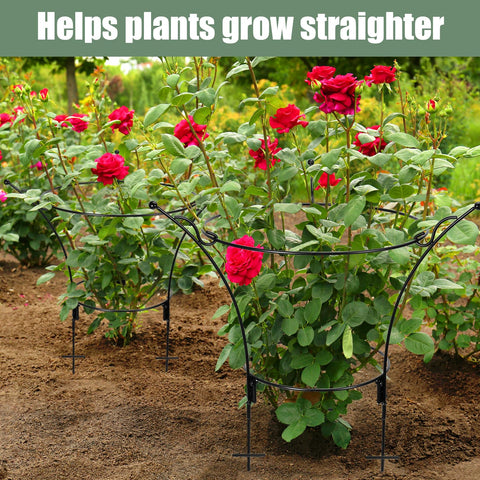 All-weather plant support suitable for outdoor flowers and vegetables.