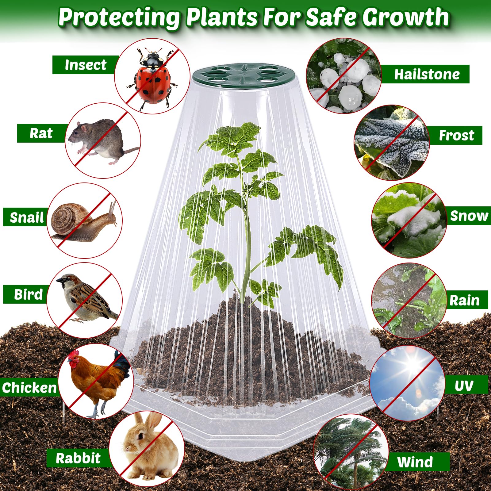 Vicamb animal protection cloche defends plants from pests and small animals.