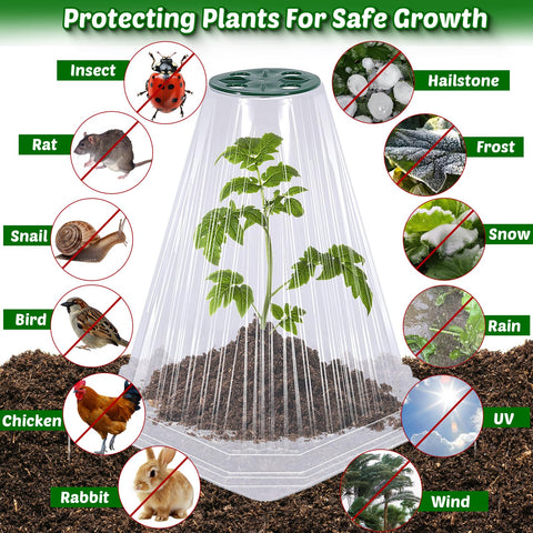 Vicamb animal protection cloche defends plants from pests and small animals.