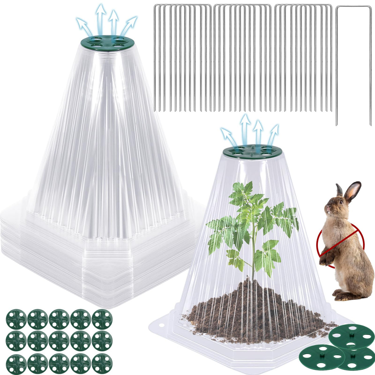 Vicamb garden cloche 6.7 inch diameter with rotating vent protects seedlings and warms microclimate.