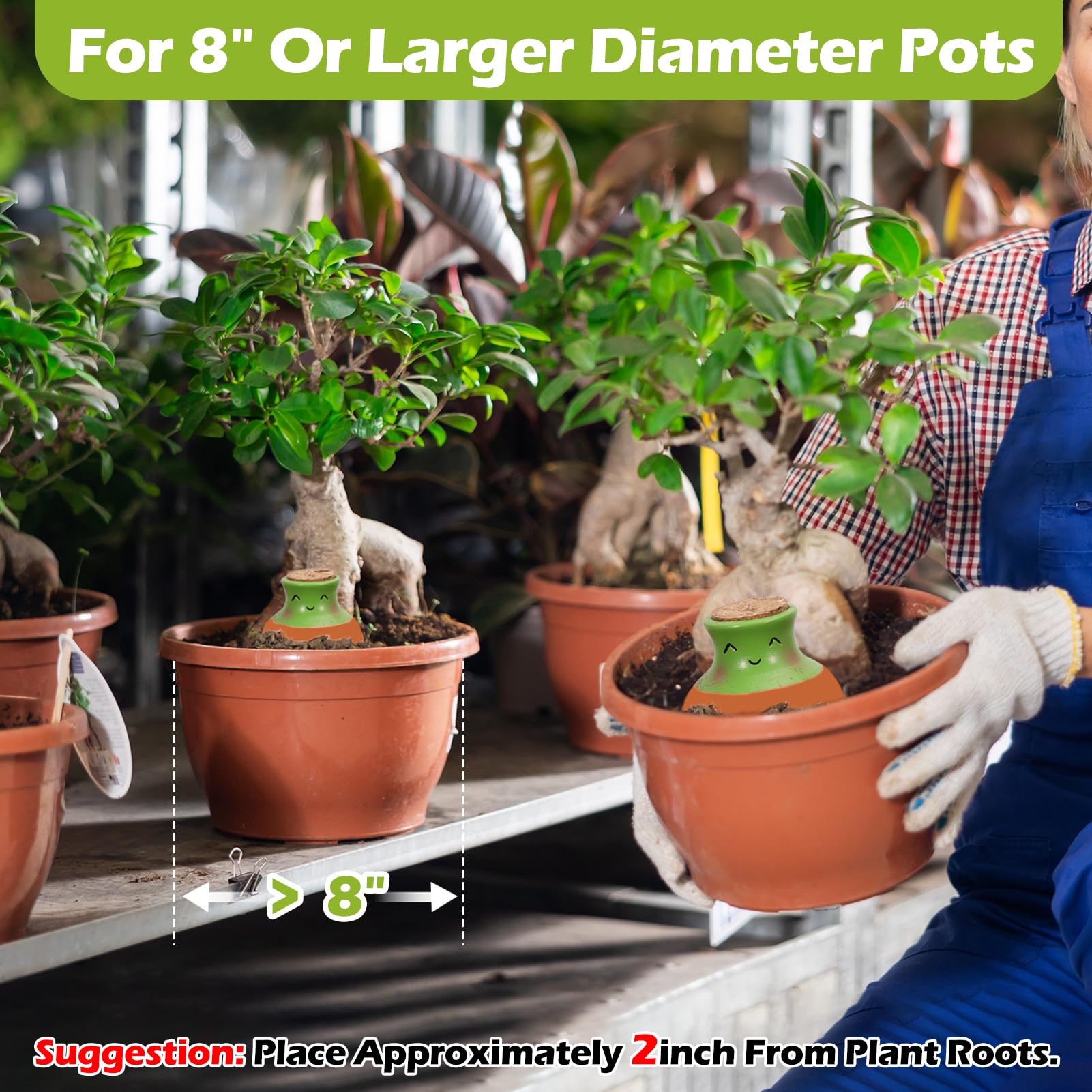 VICAMB indoor plants watered automatically with terracotta globes.