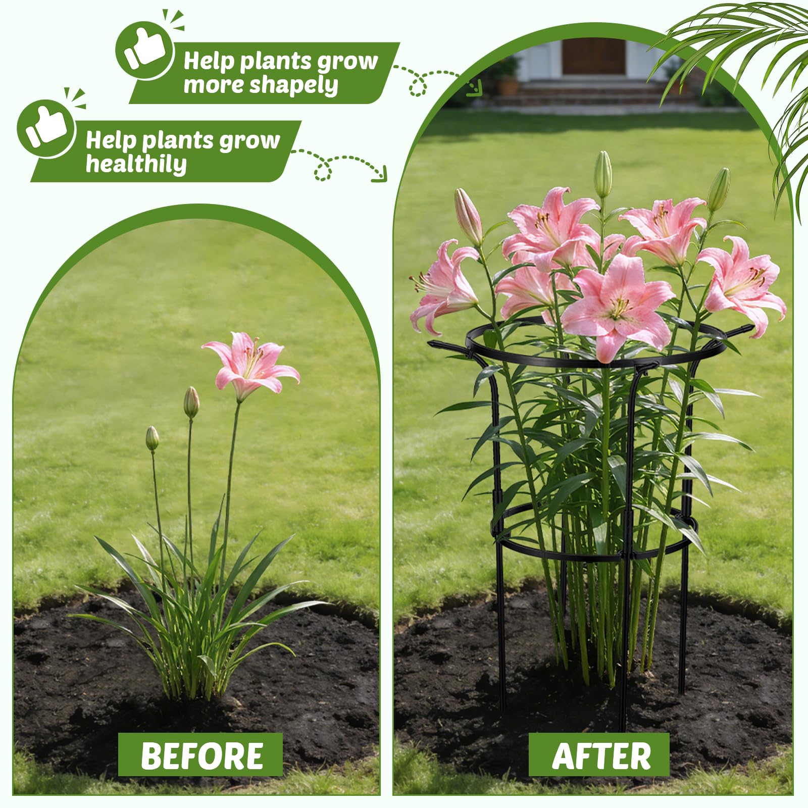 VICAMB open-ring design allows watering and pruning without removing the cage