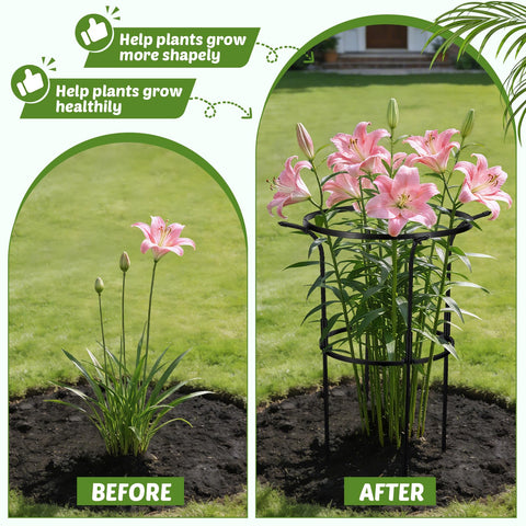 VICAMB open-ring design allows watering and pruning without removing the cage