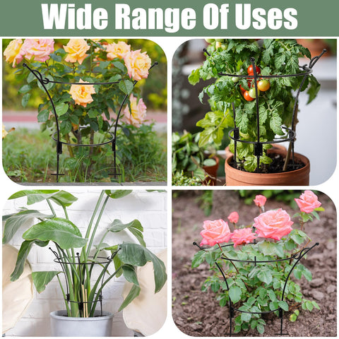 Outdoor garden use showing VICAMB cages supporting roses and tomatoes.