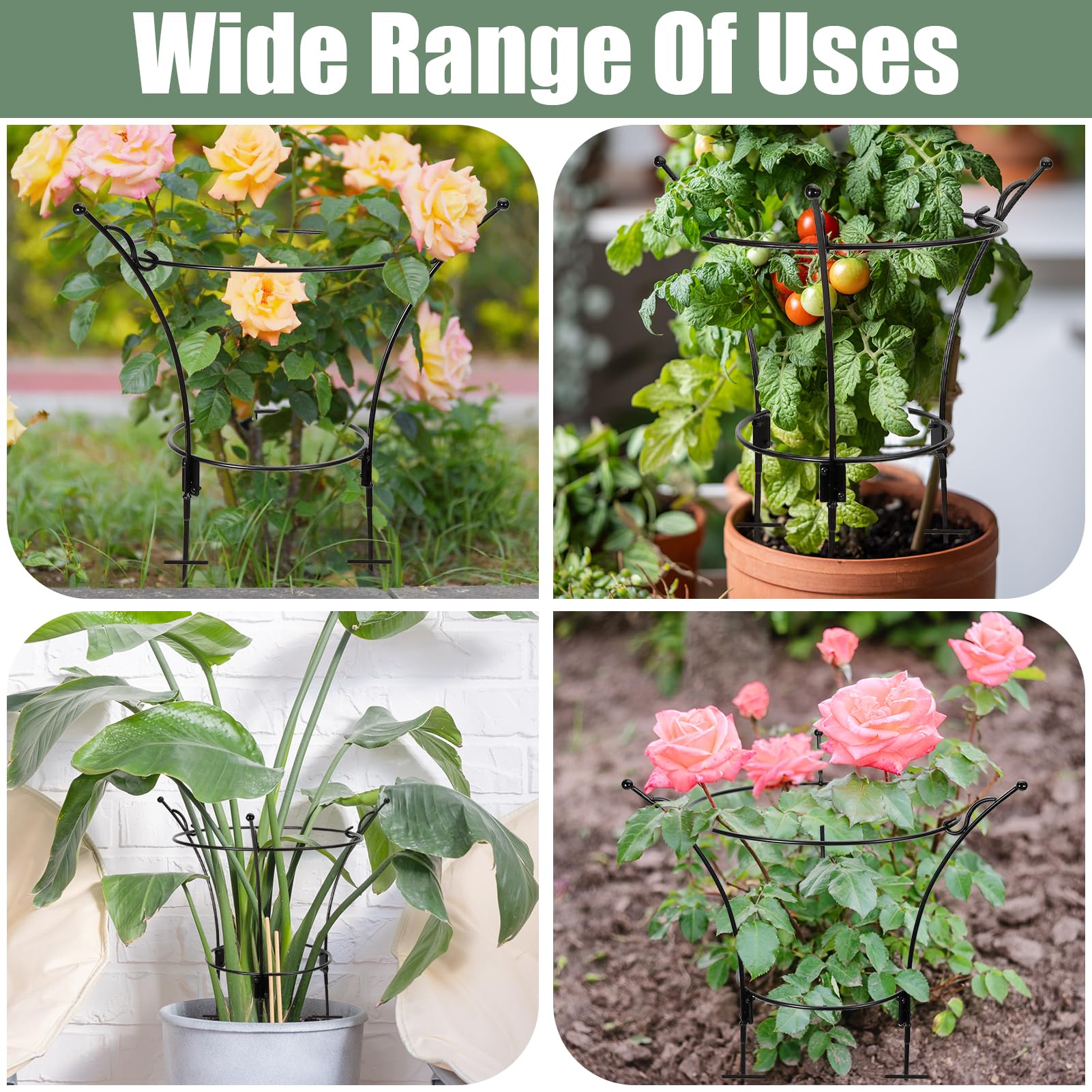 VICAMB peony cage small circle 9-4 in diameter supports smaller stems