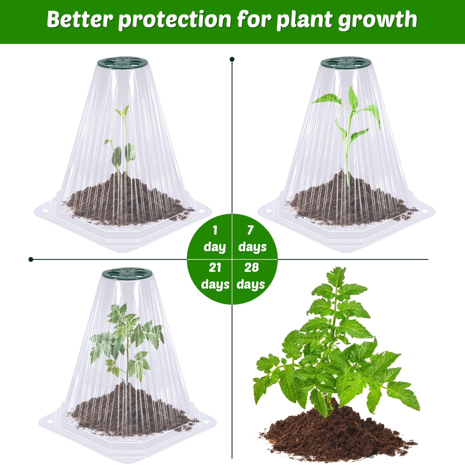 Vicamb reusable plastic cloche is waterproof and dustproof, ready for repeated seasons.