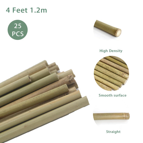 VicaVerde bamboo stakes support tomato vines for upright growth.