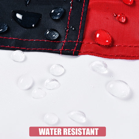 VICDRIA flag reinforced with brass grommets for secure mounting.